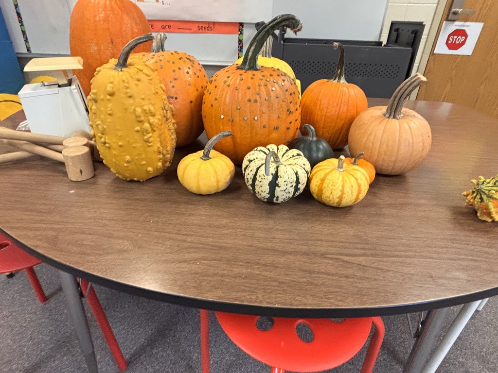 Pumkinology week continued in Mrs. Shannon's class this week, including pumpkin pancakes! #celebrate379