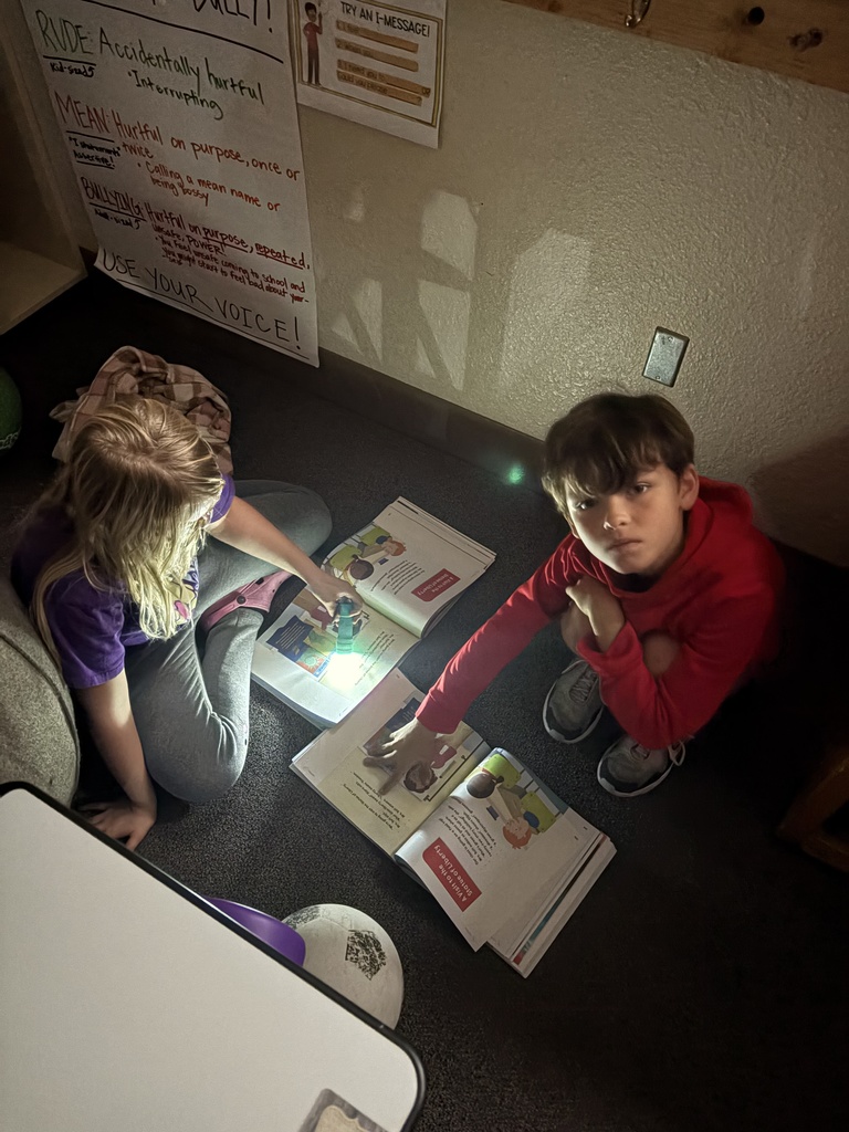 Mrs. Edwards keeps reading fun in her classroom with "Flashlight Reading", where her students shut off the lights and have "secret" reading time with a friend. Earlier this week, they were discovering why the Statue of Liberty is green from their HMH literature book. One of the main goals at Lincoln is for kids to develop a LOVE of reading, and this is just one way the teachers do it! #celebrate379