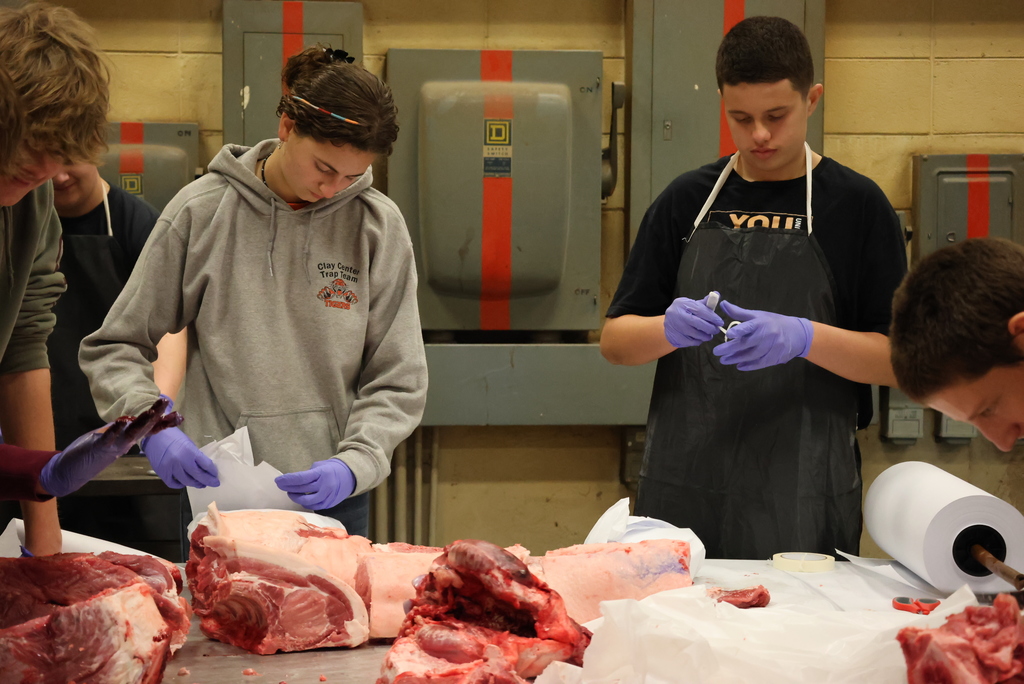 Forget the turkey, Mr. Craig's students were serving up ham this morning!  Schwartz Farms was nice enough to donate a hog for this learning activity, and the Clay Center Locker Plant killed and delivered it whole to the CCCHS Ag garage. After that, it was the students' turn to butcher from whole hog down to all of the parts!  Thanks to Lee Weiss, a retired Ag teacher and FFA advisor, who donated his morning to teach the students all about the butchering process. As you can see, it was a hands-on process!  Some of the pork will be eaten at FFA events, and some will be donated to the Lighthouse. All of it was a great learning experience! #celebrate379