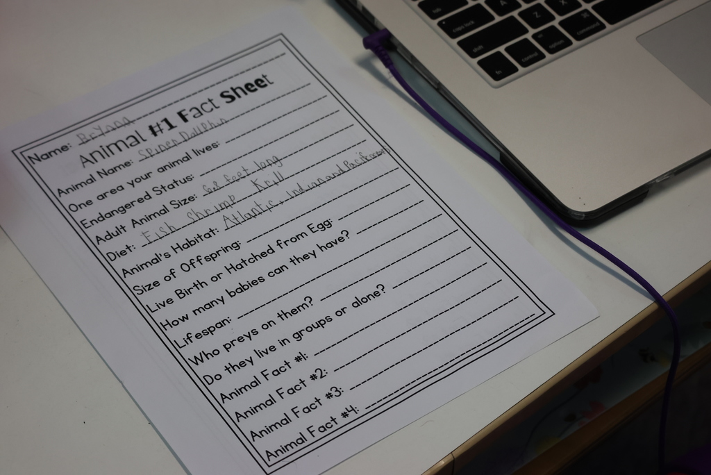 One of the most original science projects in 3rd grade is the "New Animals of the World." Students research two different animals and then combine the two into a new species! In Ms. Brownell's class, those writings are then turned into a book that she has made each year, and they also make a 3D image of the animal. Definitely a memorable experience! #celebrate379