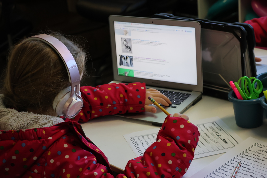 One of the most original science projects in 3rd grade is the "New Animals of the World." Students research two different animals and then combine the two into a new species! In Ms. Brownell's class, those writings are then turned into a book that she has made each year, and they also make a 3D image of the animal. Definitely a memorable experience! #celebrate379