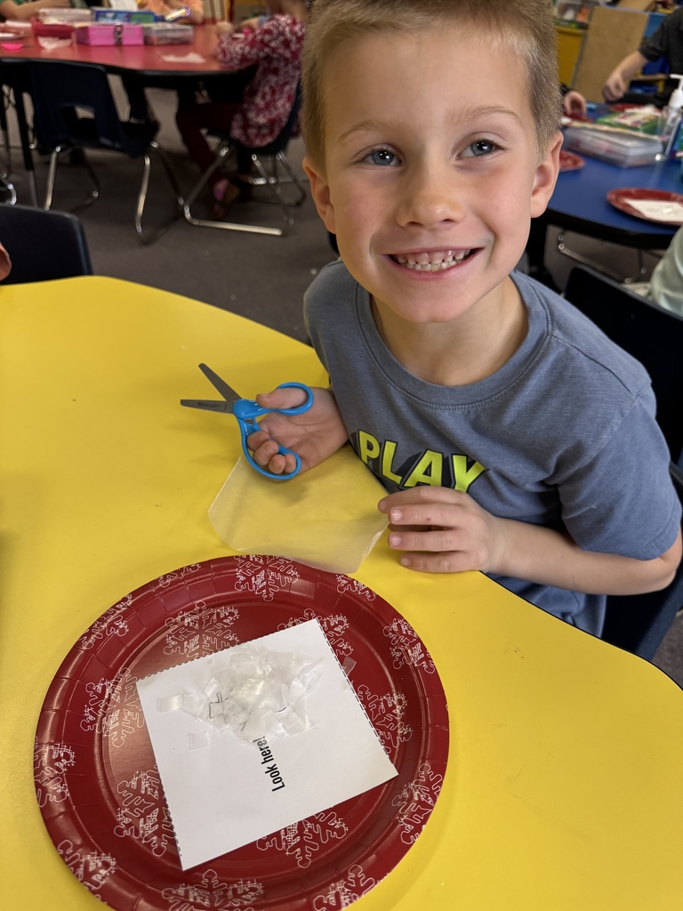 Mystery Science is the elementary science curriculum in 379. It provides the perfect level of science vocabulary, experiments, and more!. This week in Mrs. Shannon’s class, students explored snow and snowflakes, and through videos and experiments, they can answer questions about them both! #celebrate379