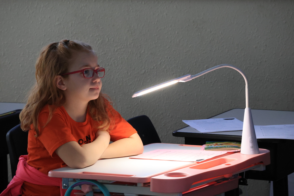 Second graders in Mrs. Weller's class started a new reading unit on biographies. They started with the Book, "Miss Moore Thought Otherwise", a picture book biography about Anne Carroll Moore, a librarian who revolutionized children's library services by establishing the first children's room at the New York Public Library. #celebrate379