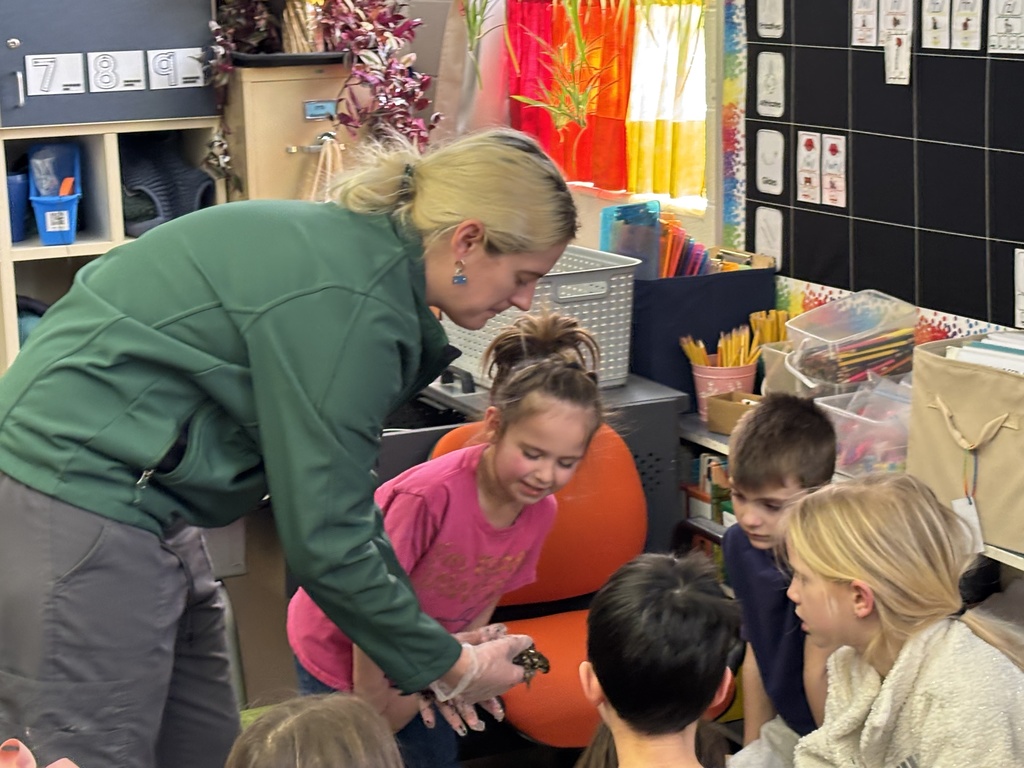 Today, first-grade students had a special guest from the Milford Nature Center who presented on Kansas symbols. The students loved seeing a live ornate box turtle and a barred tiger salamander! And in case you didn't know, Kansas Day is tomorrow! #celebrate379