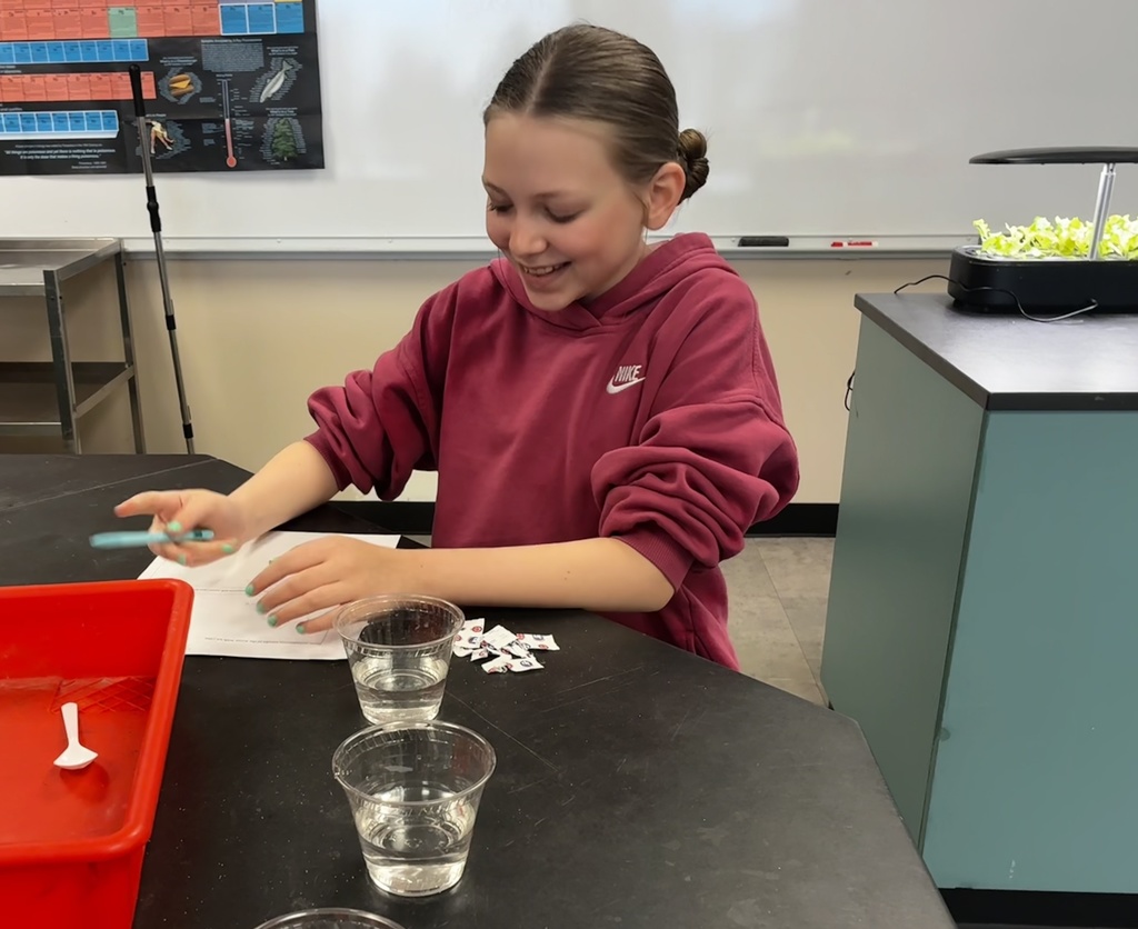 Mr. Walsh's 6th graders used scientific models to explore how ocean currents are affected by melting icebergs and how the freshwater that is released can damage the local environment. They accomplished this by conducting a series of simple investigations with water and ice in cups. They concluded that temperature and salinity affect whether water rises or sinks and that this is due to differences in density. #celebrate379