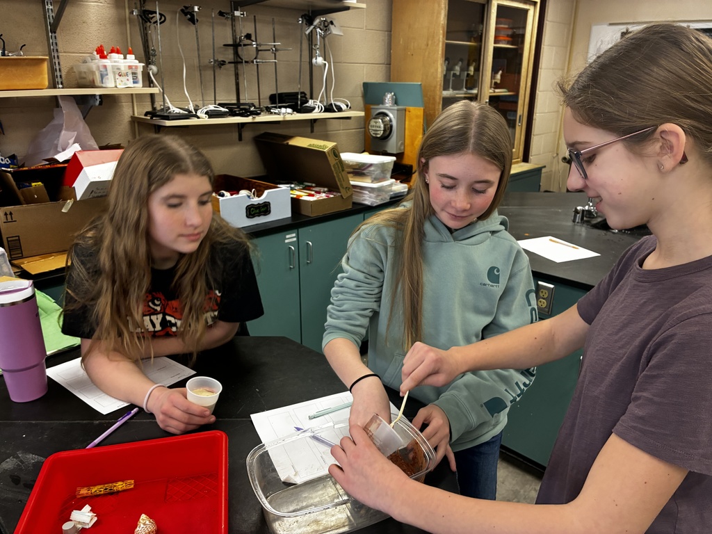 6th-grade science students used what they had learned about Earth's materials to build cliffs from sand, clay, rocks, and soil.  First, they brainstormed how to layer the materials to withstand waves and allow water to flow through or over the cliff.  They then added erosion control, such as large rocks to slow waves and wood sticks to reinforce weak areas.  They tested their designs from mild waves up to storm waves with different levels of precipitation.  Many were excited to be getting their hands dirty, building and testing their ideas.  #celebrate379