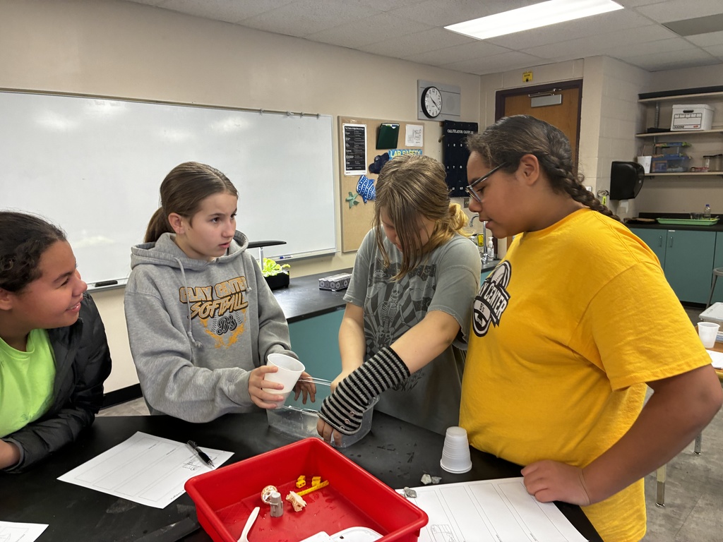 6th-grade science students used what they had learned about Earth's materials to build cliffs from sand, clay, rocks, and soil.  First, they brainstormed how to layer the materials to withstand waves and allow water to flow through or over the cliff.  They then added erosion control, such as large rocks to slow waves and wood sticks to reinforce weak areas.  They tested their designs from mild waves up to storm waves with different levels of precipitation.  Many were excited to be getting their hands dirty, building and testing their ideas.  #celebrate379