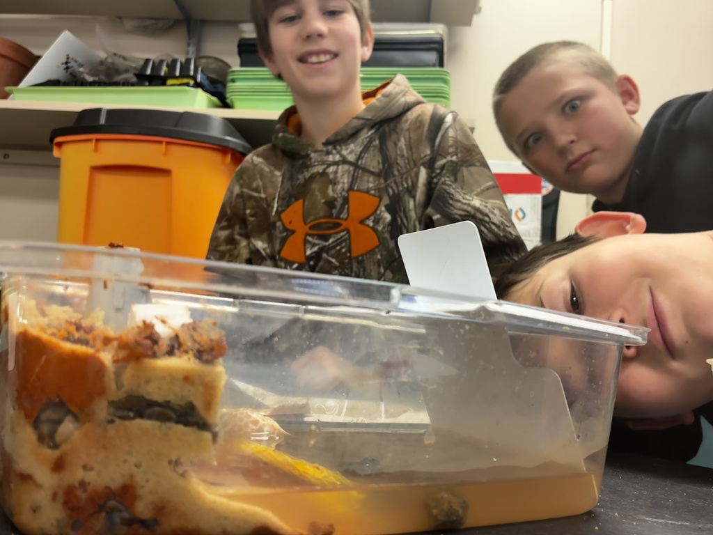 6th-grade science students used what they had learned about Earth's materials to build cliffs from sand, clay, rocks, and soil.  First, they brainstormed how to layer the materials to withstand waves and allow water to flow through or over the cliff.  They then added erosion control, such as large rocks to slow waves and wood sticks to reinforce weak areas.  They tested their designs from mild waves up to storm waves with different levels of precipitation.  Many were excited to be getting their hands dirty, building and testing their ideas.  #celebrate379