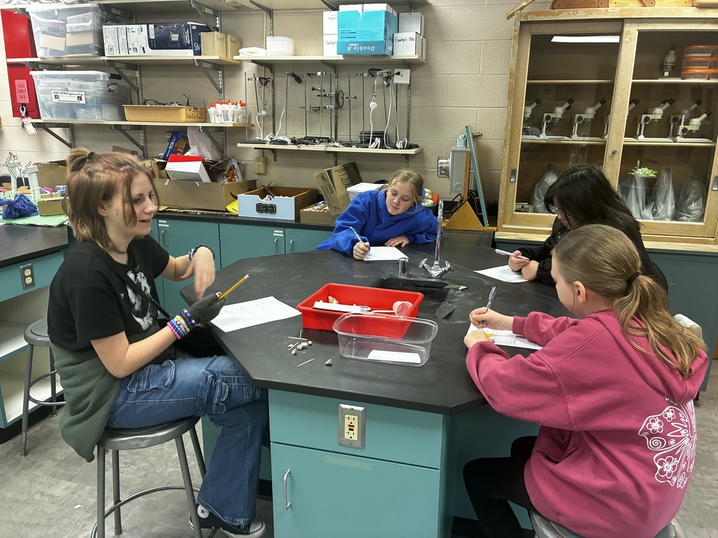 6th-grade science students used what they had learned about Earth's materials to build cliffs from sand, clay, rocks, and soil.  First, they brainstormed how to layer the materials to withstand waves and allow water to flow through or over the cliff.  They then added erosion control, such as large rocks to slow waves and wood sticks to reinforce weak areas.  They tested their designs from mild waves up to storm waves with different levels of precipitation.  Many were excited to be getting their hands dirty, building and testing their ideas.  #celebrate379