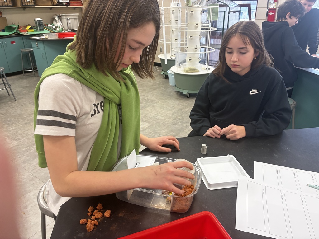 6th-grade science students used what they had learned about Earth's materials to build cliffs from sand, clay, rocks, and soil.  First, they brainstormed how to layer the materials to withstand waves and allow water to flow through or over the cliff.  They then added erosion control, such as large rocks to slow waves and wood sticks to reinforce weak areas.  They tested their designs from mild waves up to storm waves with different levels of precipitation.  Many were excited to be getting their hands dirty, building and testing their ideas.  #celebrate379