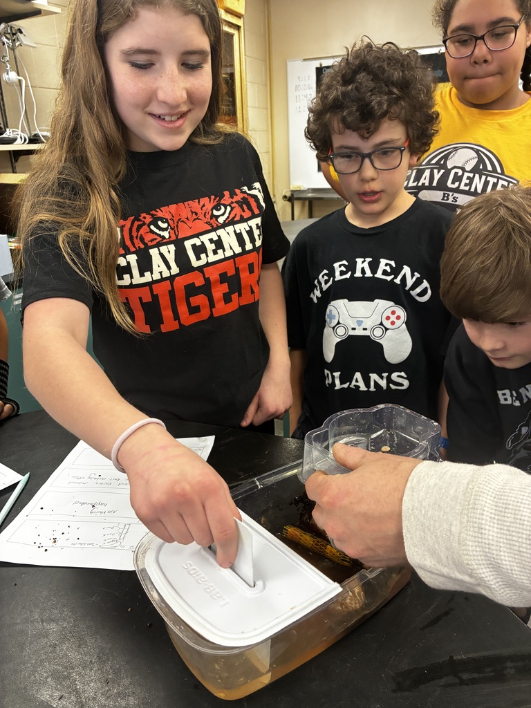 6th-grade science students used what they had learned about Earth's materials to build cliffs from sand, clay, rocks, and soil.  First, they brainstormed how to layer the materials to withstand waves and allow water to flow through or over the cliff.  They then added erosion control, such as large rocks to slow waves and wood sticks to reinforce weak areas.  They tested their designs from mild waves up to storm waves with different levels of precipitation.  Many were excited to be getting their hands dirty, building and testing their ideas.  #celebrate379