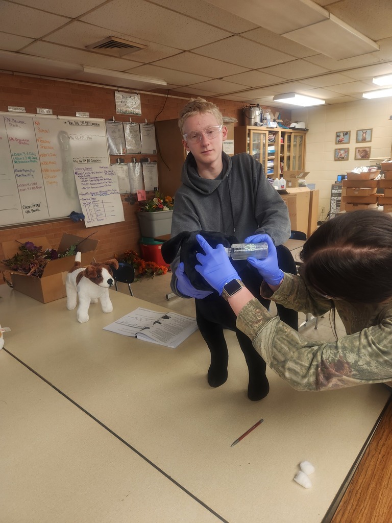 Mrs. Flegler's Animal Care (Vet Science) class has been learning about the importance of prescriptions for animal use. They first deciphered prescriptions, then applied math concepts to determine how many tablets should be in a prescription, and then filled the prescription label and bottle to the specifications. The next day, students practiced administering medicines to their clients via oral, aural, and ophthalmic routes. #celebrate379