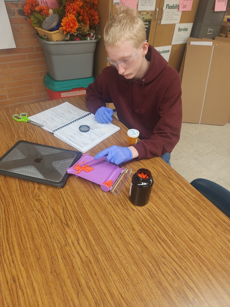 Mrs. Flegler's Animal Care (Vet Science) class has been learning about the importance of prescriptions for animal use. They first deciphered prescriptions, then applied math concepts to determine how many tablets should be in a prescription, and then filled the prescription label and bottle to the specifications. The next day, students practiced administering medicines to their clients via oral, aural, and ophthalmic routes. #celebrate379