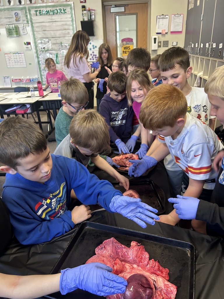 Nurse Jessie Smith gave a presentation to second graders today about the human heart. As always, she brought some examples of animal hearts that the students got to view and touch. Talk about a fascinating hands-on experience! #celebrate379