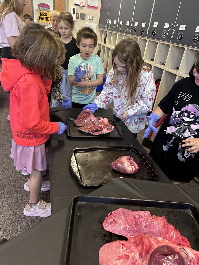 Nurse Jessie Smith gave a presentation to second graders today about the human heart. As always, she brought some examples of animal hearts that the students got to view and touch. Talk about a fascinating hands-on experience! #celebrate379