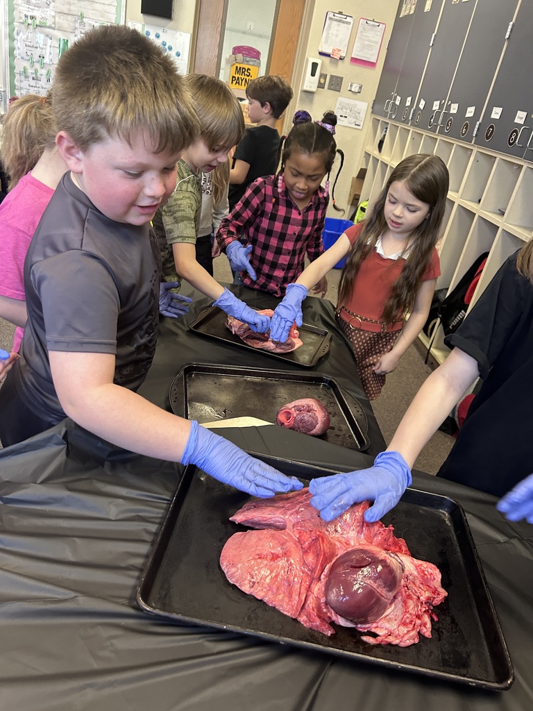 Nurse Jessie Smith gave a presentation to second graders today about the human heart. As always, she brought some examples of animal hearts that the students got to view and touch. Talk about a fascinating hands-on experience! #celebrate379