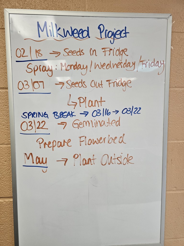 Mrs. Bybee is starting a unique experiment with her freshman advisory group called "The Milkweed in the Classroom Project". Pheasants Forever and Quail Forever’s Milkweed in the Classroom Program is a turn-key habitat education program for the classroom. Program support includes all the materials to grow native plants in the classroom, online training on how to grow native plants in the classroom, and a curriculum that meets all national science standards. The results of this program not only benefit pollinators by providing quality foraging and nesting habitat, but also provide opportunities for youth to get outside and gain an appreciation for wildlife and conservation. This week, they started cold stratification of their seeds. The goal is to plant them outside in May. Stay tuned for updates!