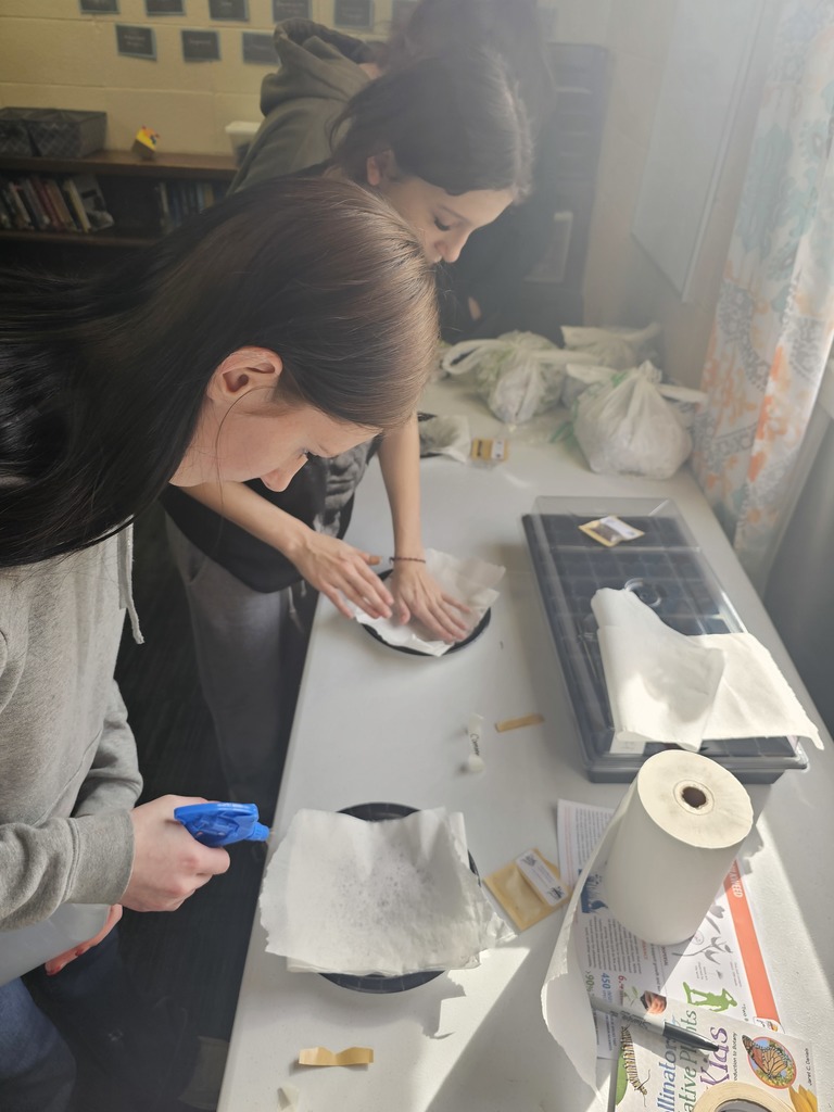 Mrs. Bybee is starting a unique experiment with her freshman advisory group called "The Milkweed in the Classroom Project". Pheasants Forever and Quail Forever’s Milkweed in the Classroom Program is a turn-key habitat education program for the classroom. Program support includes all the materials to grow native plants in the classroom, online training on how to grow native plants in the classroom, and a curriculum that meets all national science standards. The results of this program not only benefit pollinators by providing quality foraging and nesting habitat, but also provide opportunities for youth to get outside and gain an appreciation for wildlife and conservation. This week, they started cold stratification of their seeds. The goal is to plant them outside in May. Stay tuned for updates!