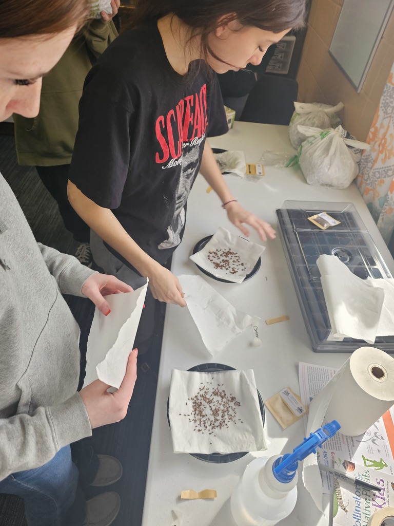 Mrs. Bybee is starting a unique experiment with her freshman advisory group called "The Milkweed in the Classroom Project". Pheasants Forever and Quail Forever’s Milkweed in the Classroom Program is a turn-key habitat education program for the classroom. Program support includes all the materials to grow native plants in the classroom, online training on how to grow native plants in the classroom, and a curriculum that meets all national science standards. The results of this program not only benefit pollinators by providing quality foraging and nesting habitat, but also provide opportunities for youth to get outside and gain an appreciation for wildlife and conservation. This week, they started cold stratification of their seeds. The goal is to plant them outside in May. Stay tuned for updates!