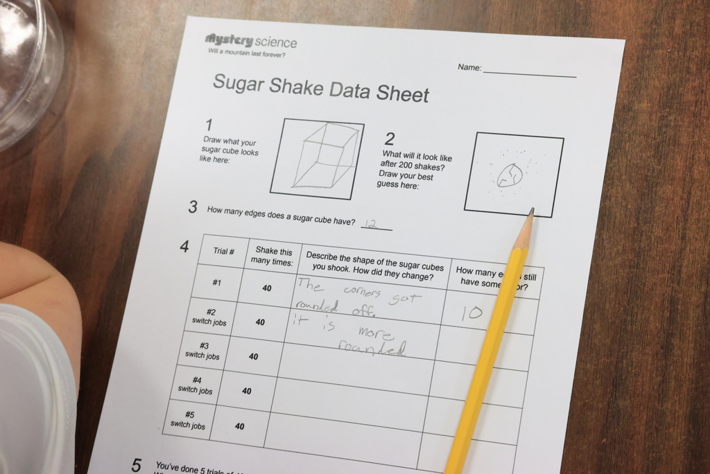 Mrs. Wohler's science classes researched what happens when rocks erode over time in a unique way today. They shook sugar cubes in containers and entered data after each time. A whole lot of shakin' was going on! #celebrate379