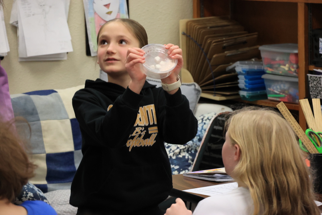 Mrs. Wohler's science classes researched what happens when rocks erode over time in a unique way today. They shook sugar cubes in containers and entered data after each time. A whole lot of shakin' was going on! #celebrate379