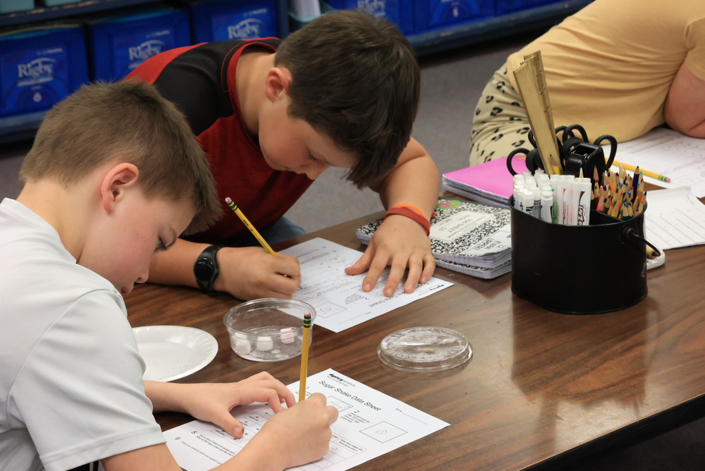 Mrs. Wohler's science classes researched what happens when rocks erode over time in a unique way today. They shook sugar cubes in containers and entered data after each time. A whole lot of shakin' was going on! #celebrate379