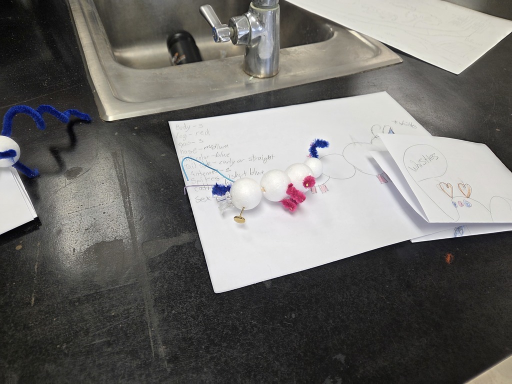 Mrs. Trembath's 7th grade science class has been learning about genetics. In this unit, they worked with partners and flipped a coin to see which Alleles (or traits) their self-created critters would have. #celebrate379