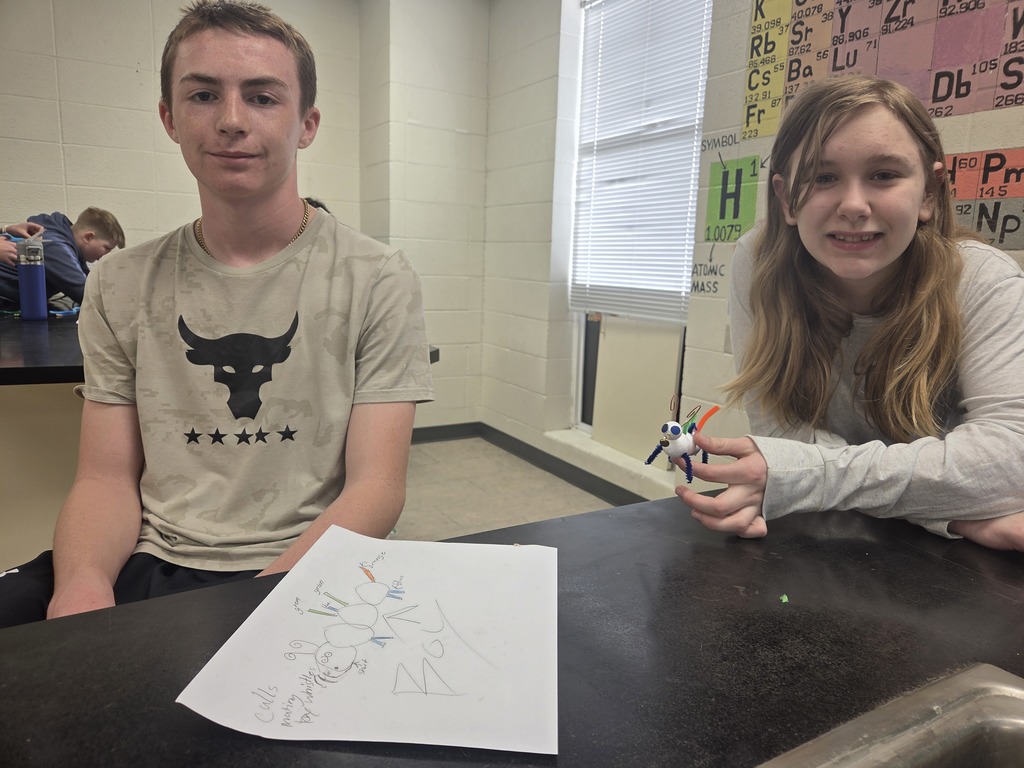 Mrs. Trembath's 7th grade science class has been learning about genetics. In this unit, they worked with partners and flipped a coin to see which Alleles (or traits) their self-created critters would have. #celebrate379