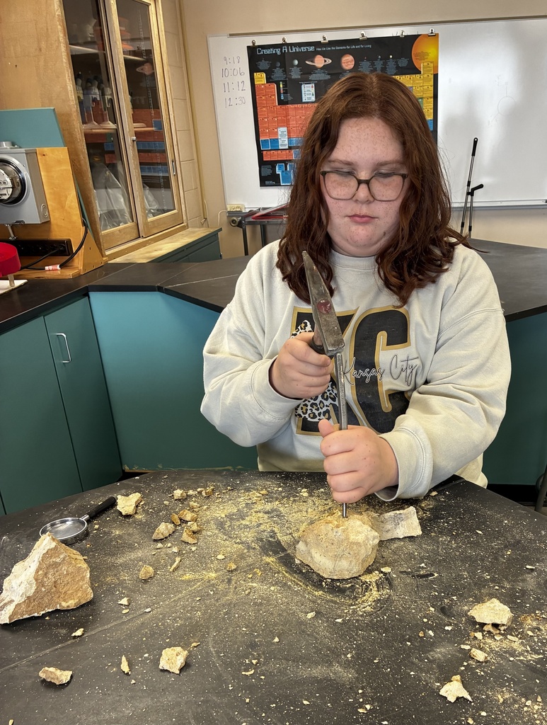 6th-grade students in Mr. Walsh's science enrichment class found some unique fossils this week! They found rocks from different areas around Clay County, and then started chiseling away and found brachiopods, fusulinids, and even quartz! They also mapped out where the samples came from. #celebrate379