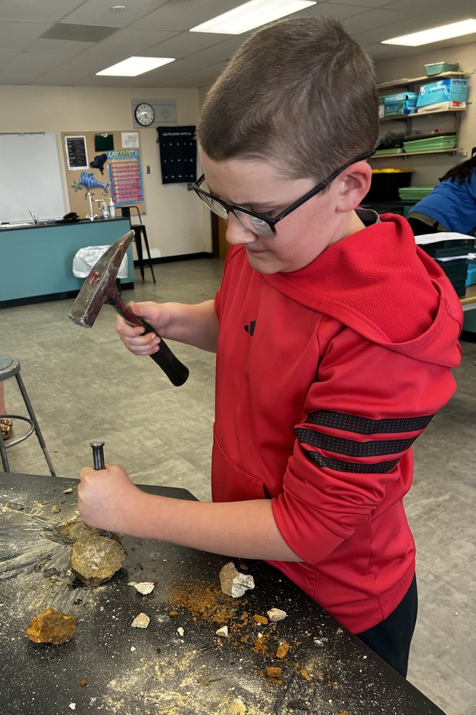 6th-grade students in Mr. Walsh's science enrichment class found some unique fossils this week! They found rocks from different areas around Clay County, and then started chiseling away and found brachiopods, fusulinids, and even quartz! They also mapped out where the samples came from. #celebrate379