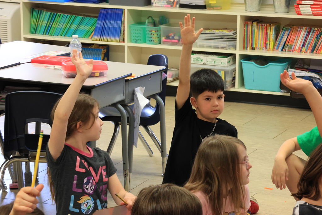 Students raise their hands getting ready to answer a question.
