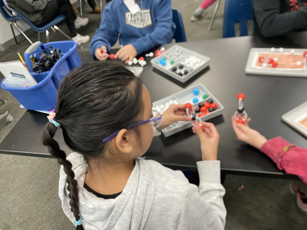 Various 5th graders attend the STARBASE sessions, learning about Newton's laws of motion, how to use a CAD program, how to code robots, and many other science concepts.