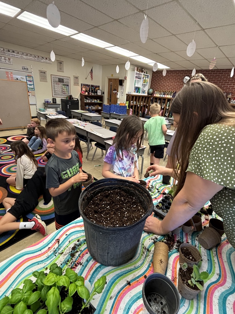 Students get to dig in a dirt pot and choose either a succulent or basil plant to take home.