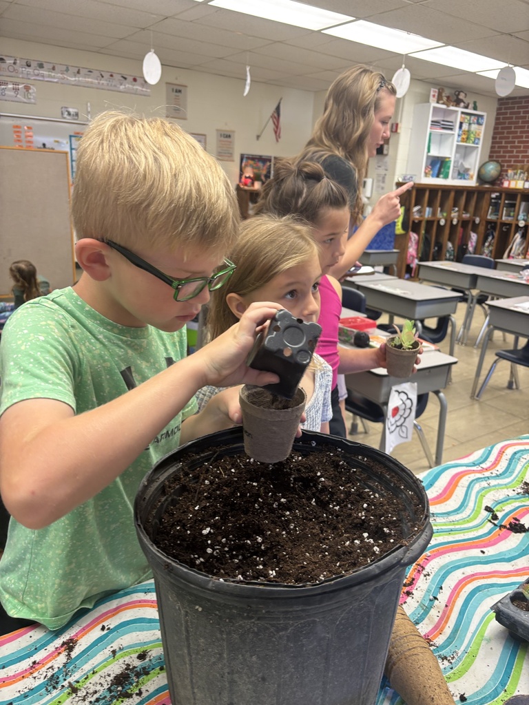 Students get to dig in a dirt pot and choose either a succulent or basil plant to take home.