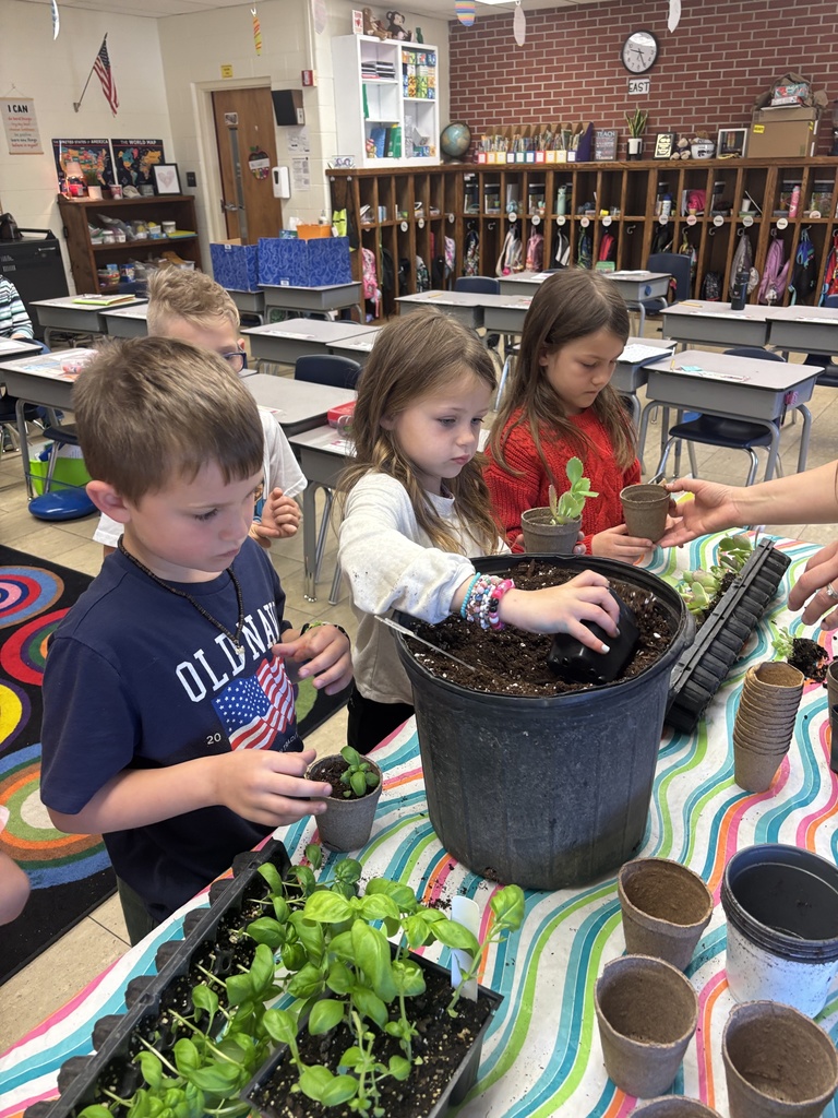 Students get to dig in a dirt pot and choose either a succulent or basil plant to take home.