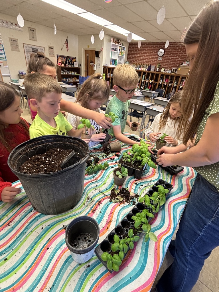 Students get to dig in a dirt pot and choose either a succulent or basil plant to take home.