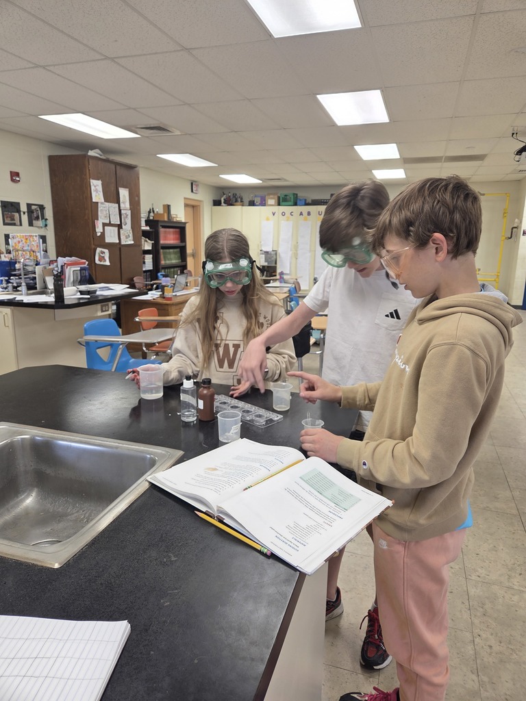 Wakefield science students wear goggles while conducting a lab to see what liquids dissolved sodium chloride and calcium chloride the best.