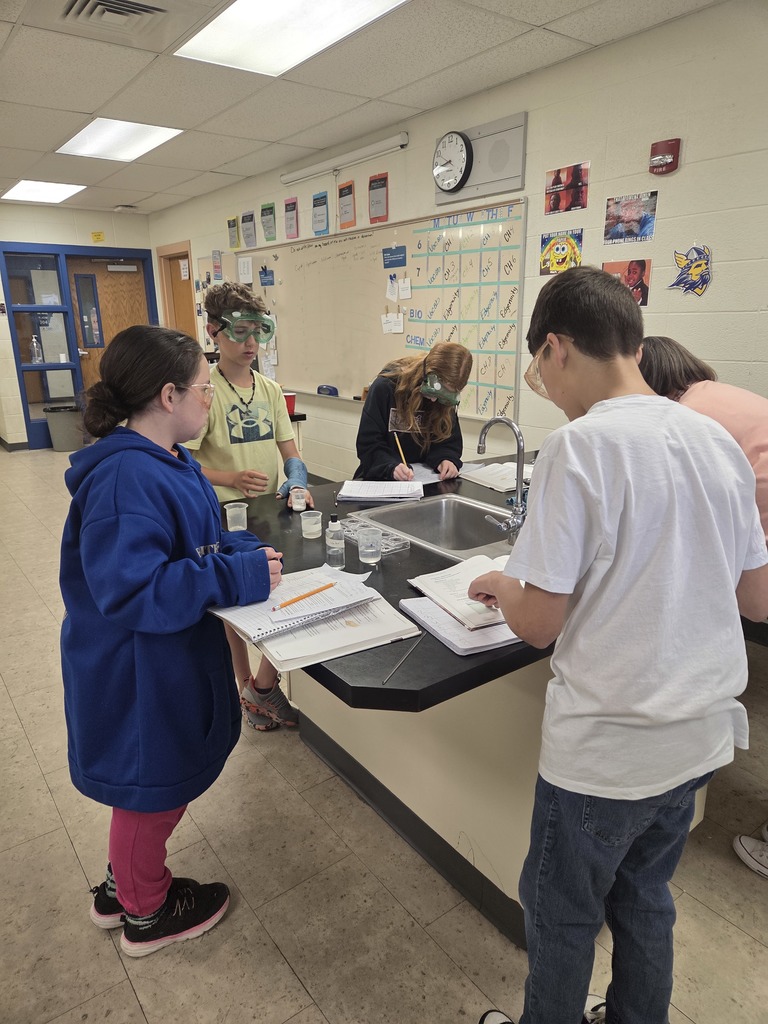 Wakefield science students wear goggles while conducting a lab to see what liquids dissolved sodium chloride and calcium chloride the best.