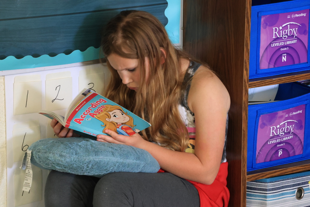 A student reads silently in the corner of Mrs. Ehlers' classroom.