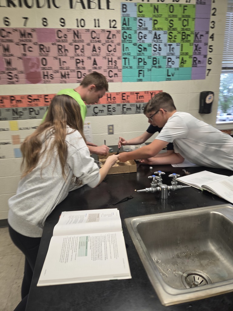 7th grade conducted a fun experiment to understand why animals evolve over time. This experiment is called Battling Beaks and reminded students of Hungry Hungry Hippo. They used forks with 1, 2, or all 4 tines, depending on what they rolled on their dice. They used those forks (bird beaks) to pick up wild loops off the forest floor (Cheerios in a box flat). They learned that it was easier to get more food with 4 tines, and that the animals that could get more food were more likely to survive. #Celebrate379