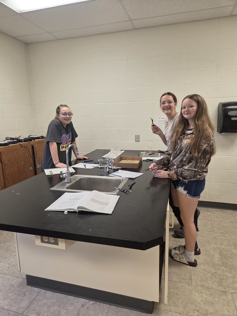 7th grade conducted a fun experiment to understand why animals evolve over time. This experiment is called Battling Beaks and reminded students of Hungry Hungry Hippo. They used forks with 1, 2, or all 4 tines, depending on what they rolled on their dice. They used those forks (bird beaks) to pick up wild loops off the forest floor (Cheerios in a box flat). They learned that it was easier to get more food with 4 tines, and that the animals that could get more food were more likely to survive. #Celebrate379