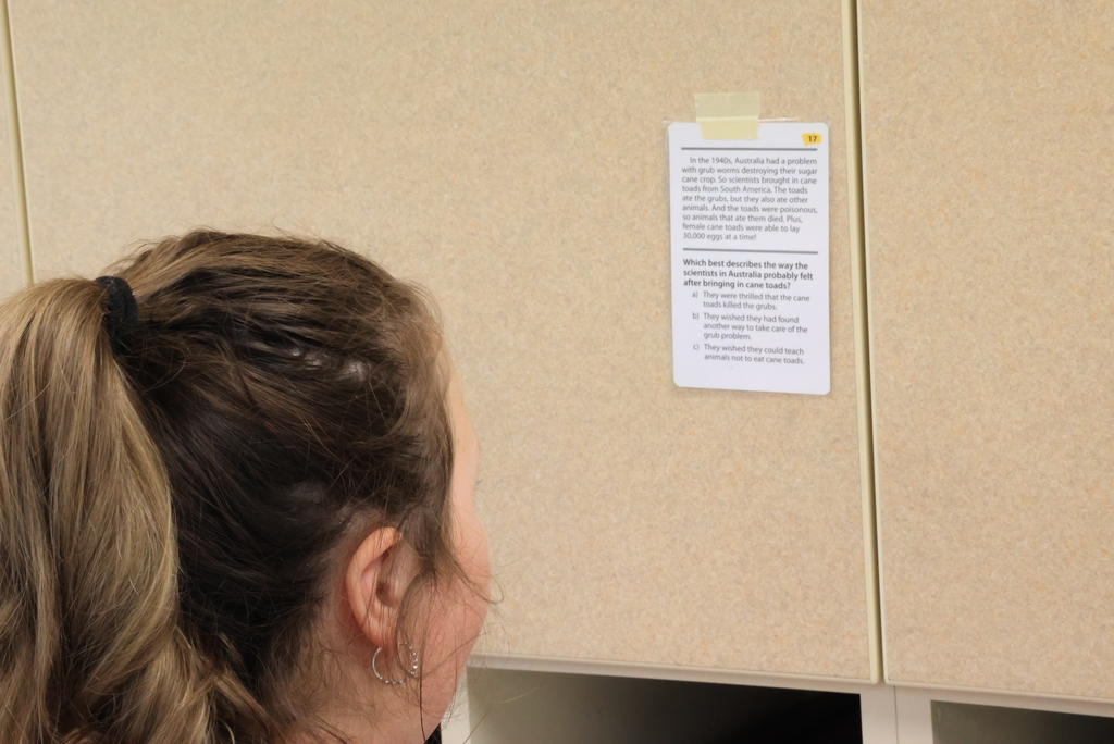 Students read a passage and answer comprehension questions about that passage.