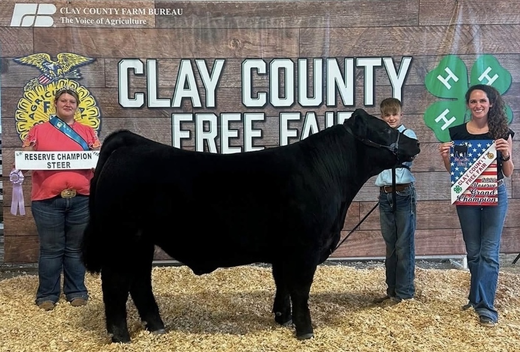 The CCCHS FFA was well represented at the 2026 Clay County Fair! Gentry (sr) and Kale (fr) Hartman exhibited their cattle. Gentry’s steer was selected as the Grand Champion Market Steer, and her heifer was selected as the Grand Champion Heifer. Kale’s steer was selected as the Reserve Champion Market Steer. Congratulations on their success! #Celebrate379