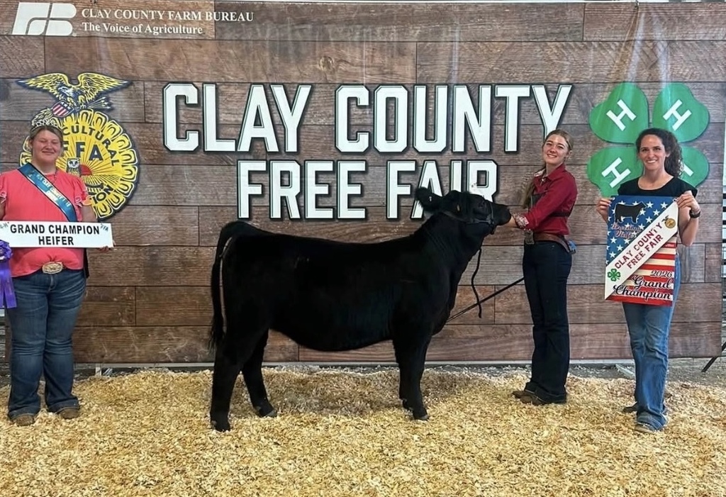 The CCCHS FFA was well represented at the 2026 Clay County Fair! Gentry (sr) and Kale (fr) Hartman exhibited their cattle. Gentry’s steer was selected as the Grand Champion Market Steer, and her heifer was selected as the Grand Champion Heifer. Kale’s steer was selected as the Reserve Champion Market Steer. Congratulations on their success! #Celebrate379