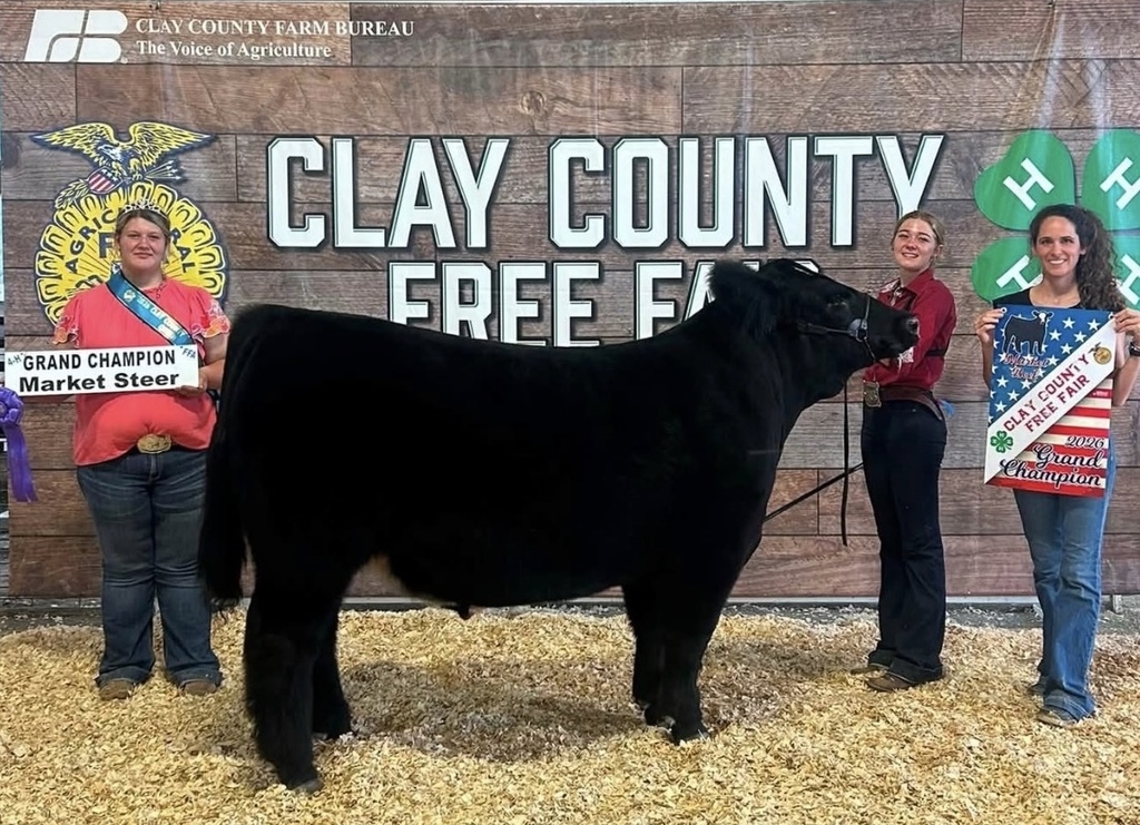 The CCCHS FFA was well represented at the 2026 Clay County Fair! Gentry (sr) and Kale (fr) Hartman exhibited their cattle. Gentry’s steer was selected as the Grand Champion Market Steer, and her heifer was selected as the Grand Champion Heifer. Kale’s steer was selected as the Reserve Champion Market Steer. Congratulations on their success! #Celebrate379