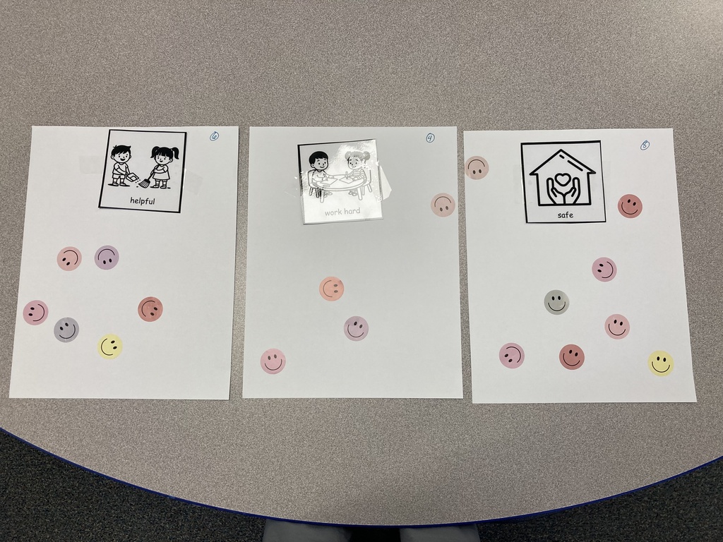 Mrs. Bruggeman's preschool students vote on how they want the classroom to feel like as part of their classroom mission statement.