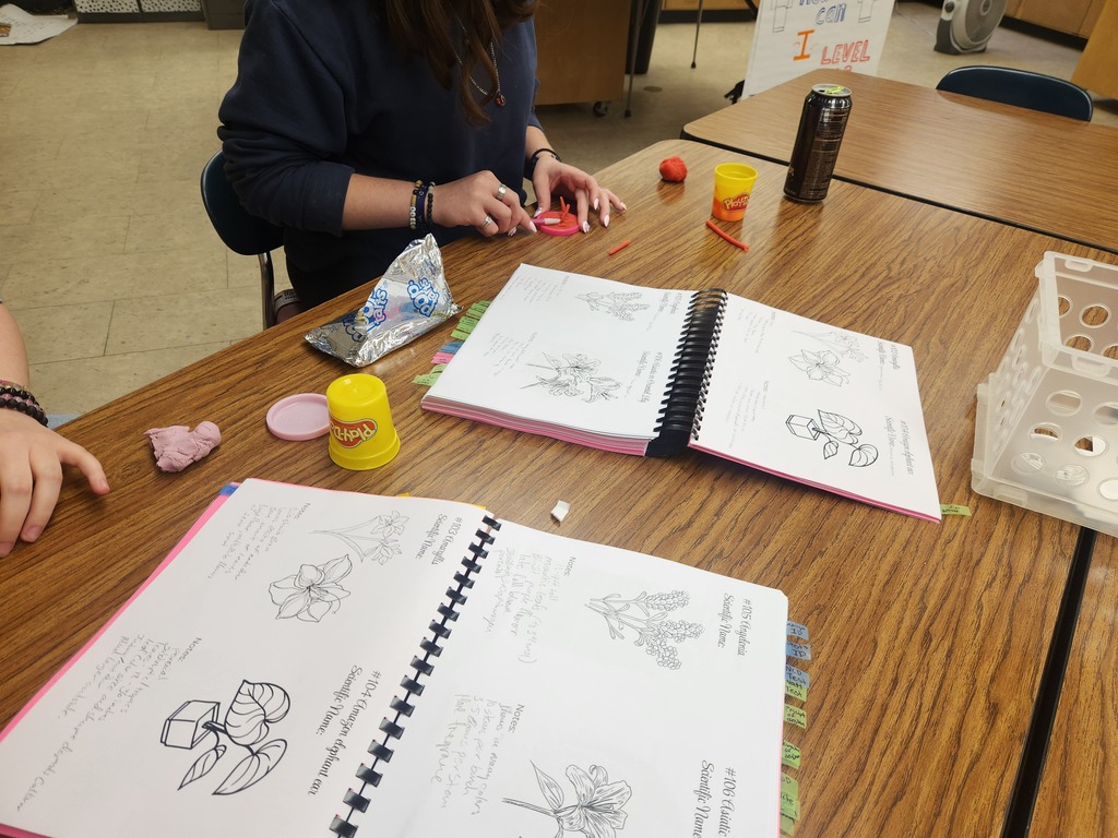 Mrs. Flegler's Floral Design class is kicking off the year by learning plant identification, a skill they will practice all year long. Students are using ID features to create plants they learned about with play dough.