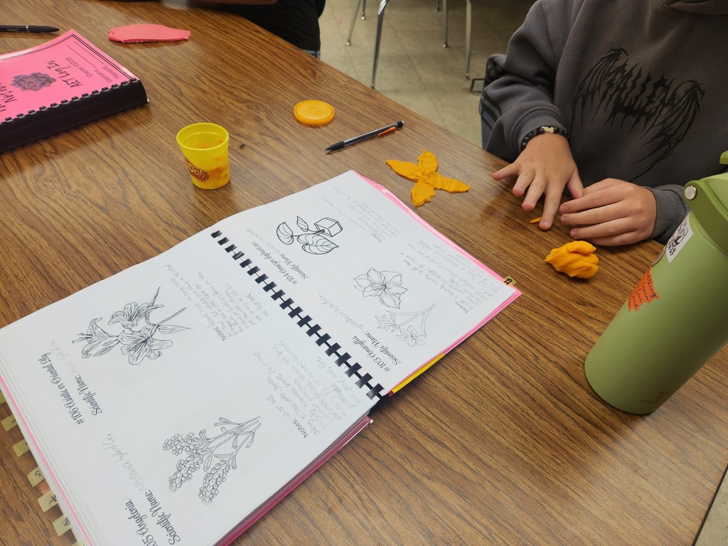 Mrs. Flegler's Floral Design class is kicking off the year by learning plant identification, a skill they will practice all year long. Students are using ID features to create plants they learned about with play dough.