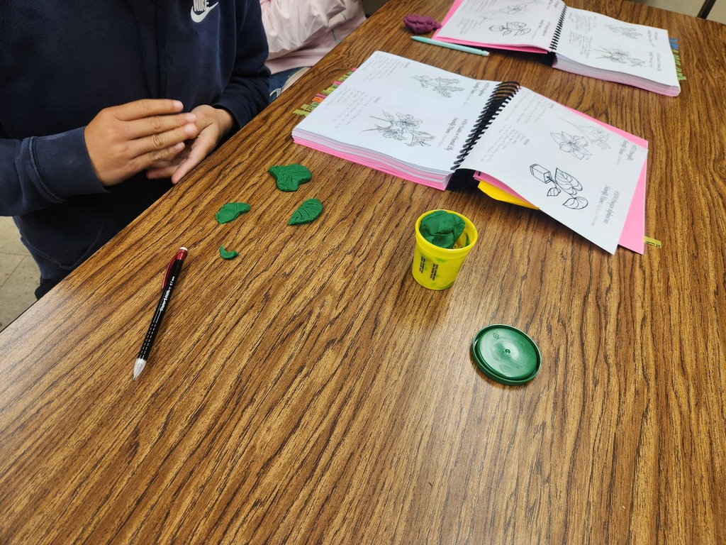 Mrs. Flegler's Floral Design class is kicking off the year by learning plant identification, a skill they will practice all year long. Students are using ID features to create plants they learned about with play dough.