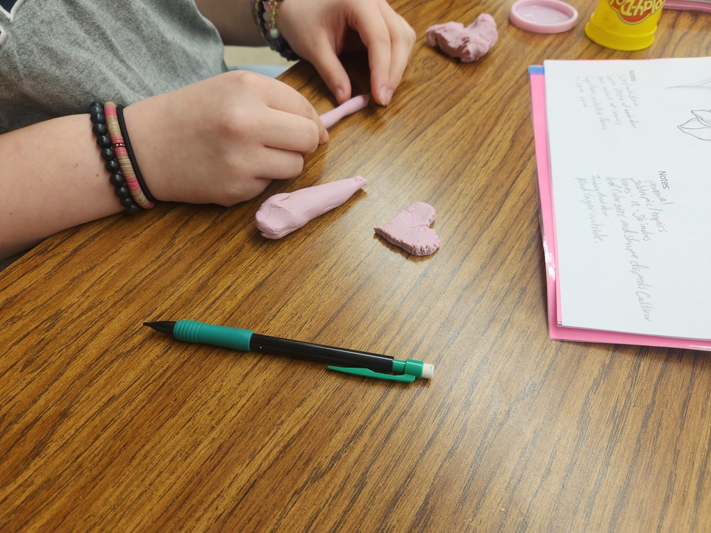 Mrs. Flegler's Floral Design class is kicking off the year by learning plant identification, a skill they will practice all year long. Students are using ID features to create plants they learned about with play dough.